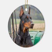 Doberman zit in een groen boerderij keramisch ornament (Links)