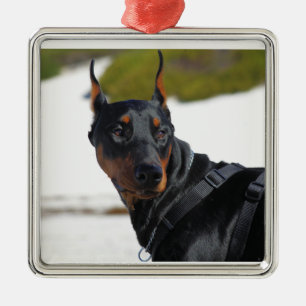 Doberman - Zwart - Bogie Metalen Ornament