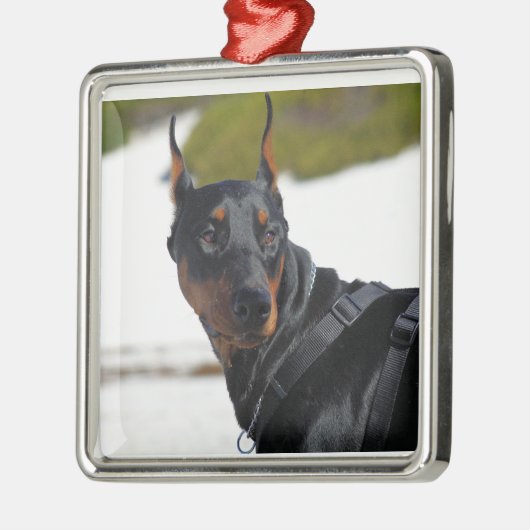 Doberman - Zwart - Bogie Metalen Ornament (Links)