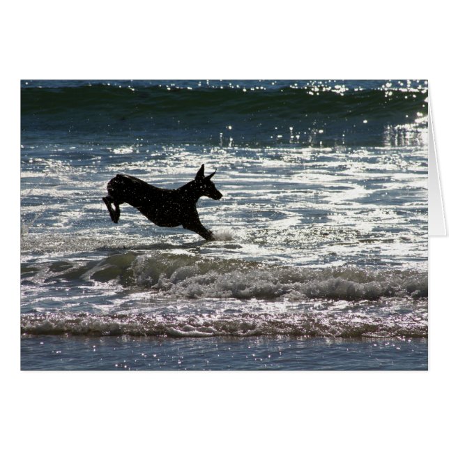 Doberman - Zwart - Ocean Leap (Voorkant Horizontaal)