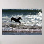 Doberman - Zwart - Ocean Leap Poster (Voorkant)