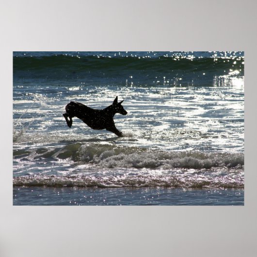 Doberman - Zwart - Ocean Leap Poster (Voorkant)