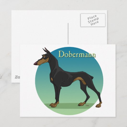 dobermann briefkaart (Voorkant / Achterkant)