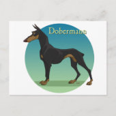dobermann briefkaart (Voorkant)