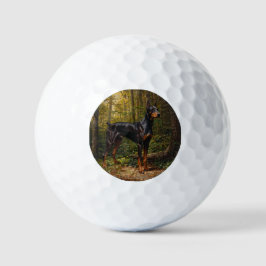 Dobermann Golfballen