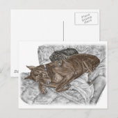 Dobermann Hond en Puppy Briefkaart (Voorkant / Achterkant)