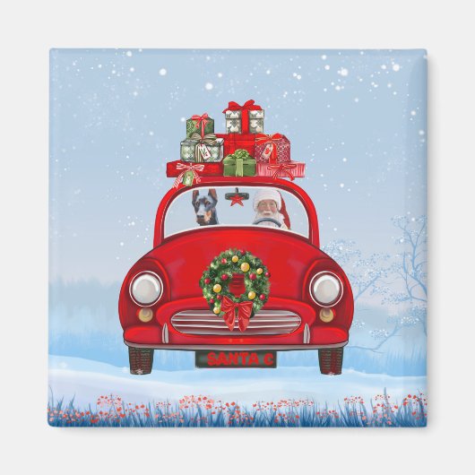 Dobermann in auto met kerstman magneet (Voorkant)