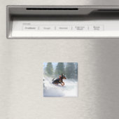 Dobermann Kerstmis sneeuw winter Magneet (Insitu (Vaatwasser))