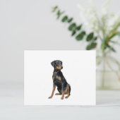 Dobermann (natuurlijk) briefkaart (Staand voorkant)