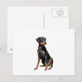 Dobermann (natuurlijk) briefkaart (Voorkant / Achterkant)