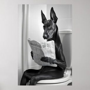 Dobermann op toilet, krant, grappige badkamerkunst poster