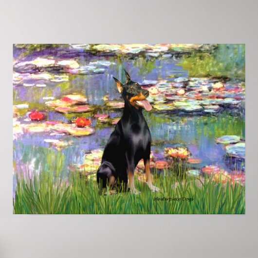 Dobermann Pinscher1 - Waterlelies 2 Poster (Voorkant)
