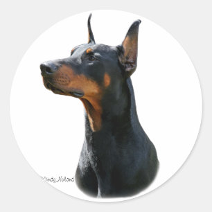 Dobermann Pinscher hoofd-zwarte Sticker