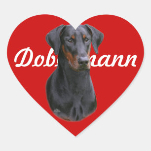 Dobermann Pinscher natuurlijk oor Sticker