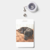 Dobermann-pinscher-puppy Badge (Voorzijde met uittrekbare clip)
