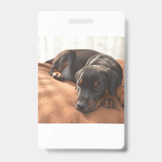 Dobermann-pinscher-puppy Badge (Voorzijde)
