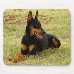 Dobermann-pinscher-puppy-hond-muisvloer Muismat