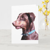 Dobermann Pinscher Rood Kaart (Gele Bloem)