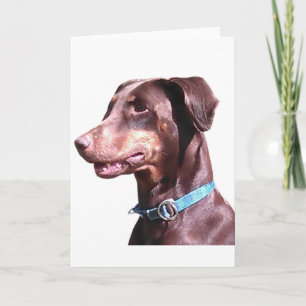 Dobermann Pinscher Rood Kaart