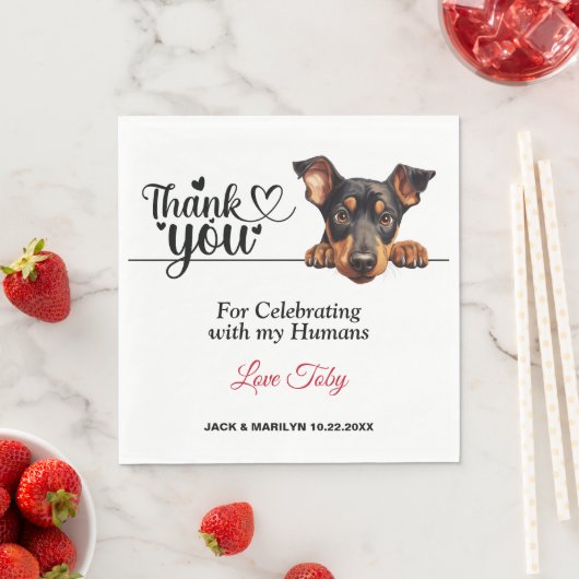 Dobermann Pinscher Trouw Dank Je Servet (Insitu)