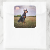 Dobermann Pinscher Vierkante Sticker (Tas)