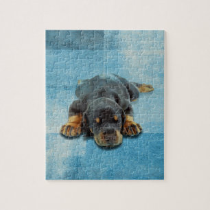 Dobermann Puppy - Doberman Pinscher Legpuzzel