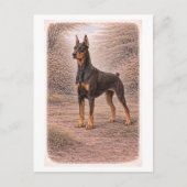 Dobermann van vintage-stijl briefkaart (Voorkant)