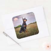 Dobermann Vierkante Sticker (Envelop)