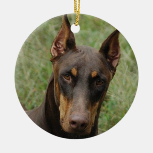 Dobermans Keramisch Ornament (Voorkant)