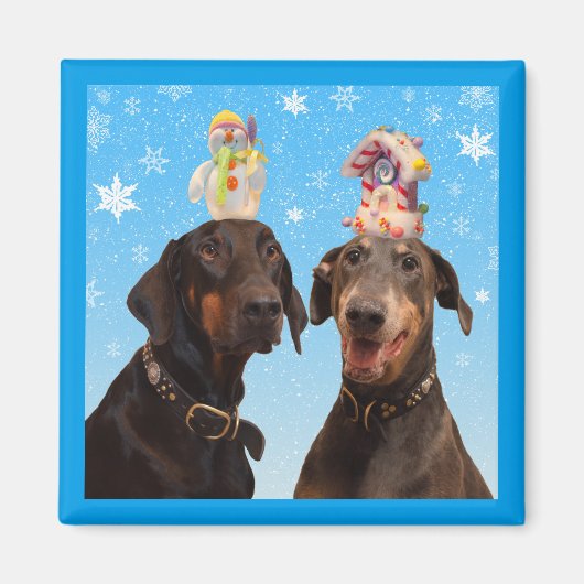 Dobermans winter Kerstmis grappige vierkante magne Magneet (Voorkant)