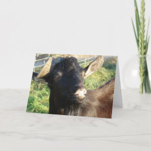 Dobie de Alpen Billy Kaart