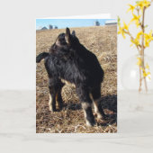 Dobie Goat Kind Alle keren Kaart (Gele Bloem)