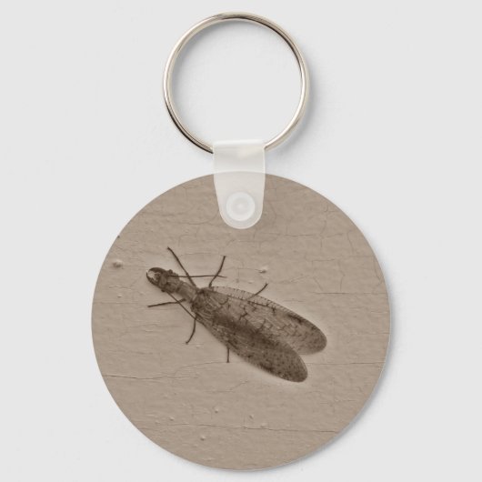 Dobsonfly vliegende insect sepia sleutelhanger (Voorkant)