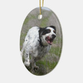 Doc.: A5-0032/2003 Keramisch Ornament (Links)