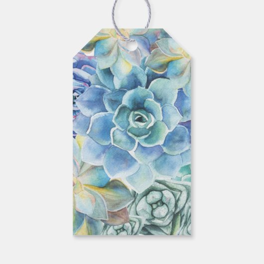 Docenten Planten de zaden van kennis Succulent Cadeaulabel (Achterkant)