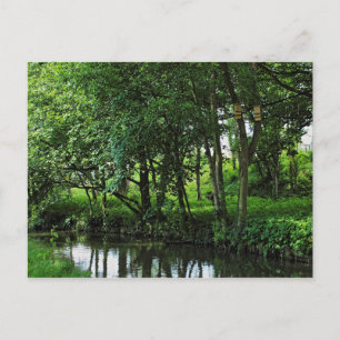 Dock Feeder Canal, Bute Park, Cardiff, Wales. Briefkaart