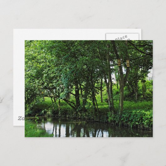 Dock Feeder Canal, Bute Park, Cardiff, Wales. Briefkaart (Voorkant / Achterkant)