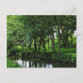 Dock Feeder Canal, Bute Park, Cardiff, Wales. Briefkaart (Voorkant)