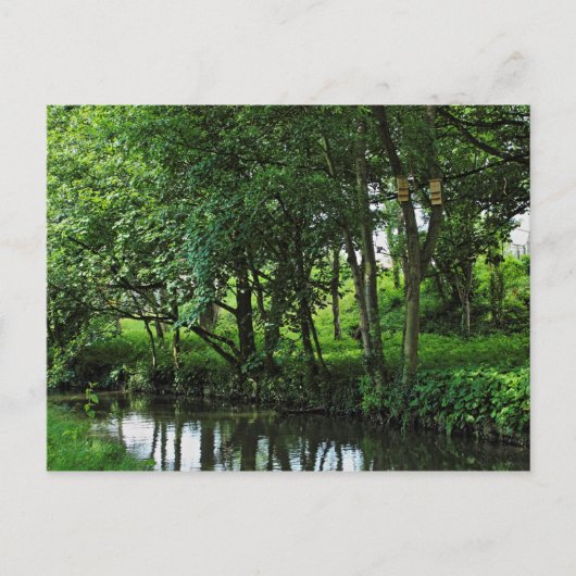 Dock Feeder Canal, Bute Park, Cardiff, Wales. Briefkaart (Voorkant)