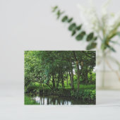 Dock Feeder Canal, Bute Park, Cardiff, Wales. Briefkaart (Staand voorkant)