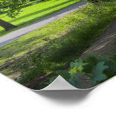 Dock Feeder Canal, Bute Park, Cardiff, Wales. Poster (Hoek)