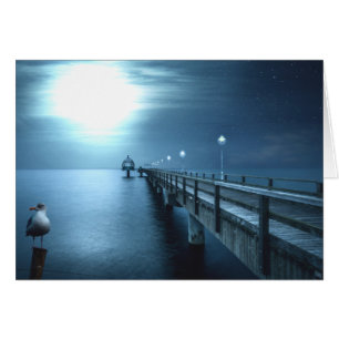 Dock op de Bay Evening