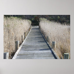 Dock Poster