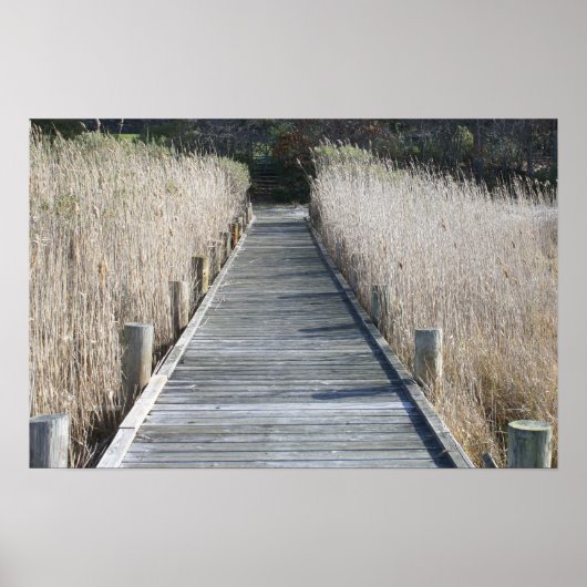 Dock Poster (Voorkant)