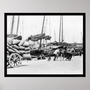 Dock Workers in Hong Kong 1908 Poster