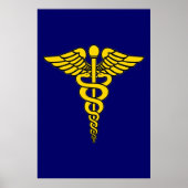 Doctor Caduceus Poster (Voorkant)
