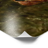 "Doctor Gnome Inspects Frog Tongue" door Heinrich  Foto Afdruk (Hoek)