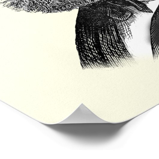 Doctor Octopus Poster (Hoek)