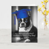 Doctor or Phd Graduate Cute Boston Terrier Dog Kaart (Gele Bloem)