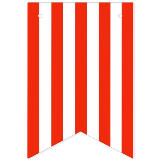 Doctor Party Bunting Flags Vlaggetjes (Tweede vlag)